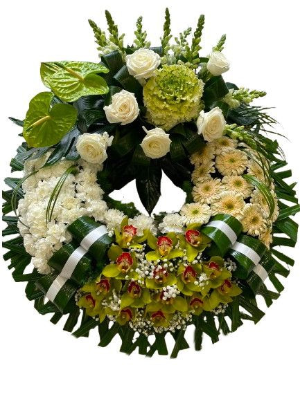 Coroa Nº 7